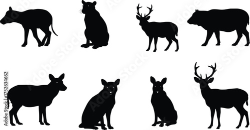 Wild animal silhouettes collection, deer, bear, feline, and forest wildlife vector illustration, animal shadow shapes, nature creature graphic design