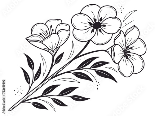 Elegant black and white sketch of blooming flowers on a stem