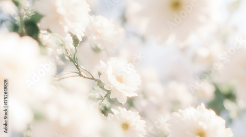 Soft Blurred Y2K Florals Vintage Background with Colorful Flowers in Gentle Hues Creating a Tranquil and Dreamy Atmosphere