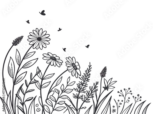 Delicate line drawing of wildflowers and flying insects