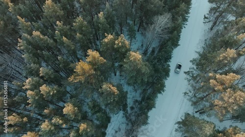 A white car driving on a road in winter forest. Aerial drone footage of a car driving along a road through a snowy pine trees in sunlight.