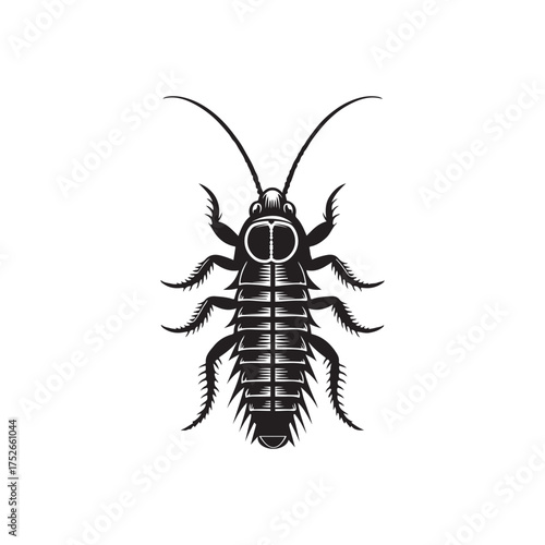 Silverfish Insect Silhouette Vector Graphic on White Background.