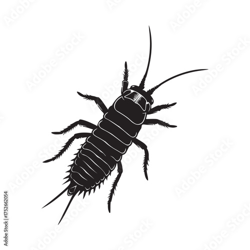 Silverfish Insect Silhouette Vector Graphic on White Background.