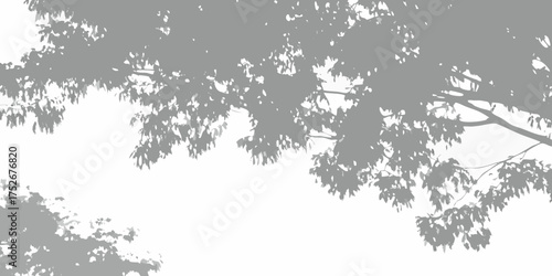 Abstract gray tree branches and leaves silhouette against a bright white background
