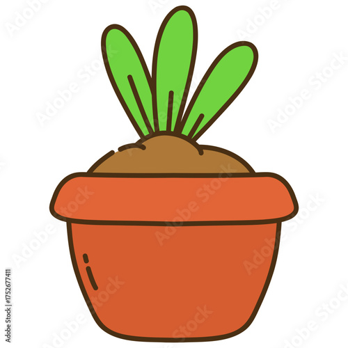 Plant in pot