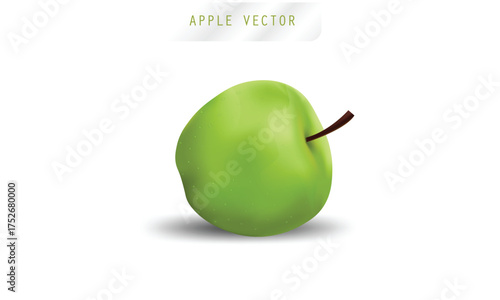 Set of Two Realistic Green Apples Vector Illustration with Leaf and Shadow on White Background

