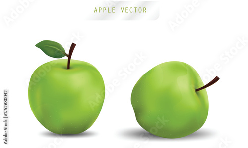 Set of Two Realistic Green Apples Vector Illustration with Leaf and Shadow on White Background

