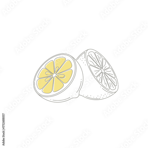 Vector art of simple line drawing of two halves of a lemon, one cut in half showing the segments