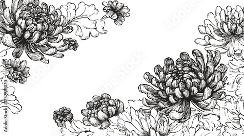 Elegant chrysanthemum border line drawing with detailed buds and leaves. Pencil draw for botanical design, packaging, decorative backgrounds.