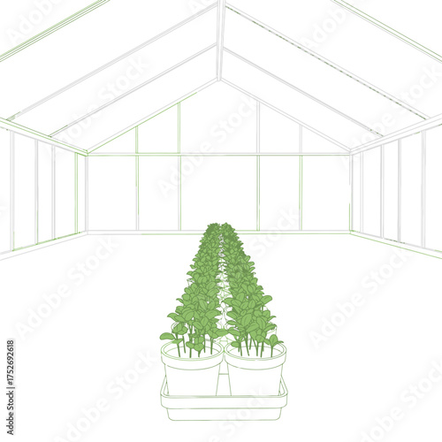 Vector art of greenhouse interior with rows of potted plants