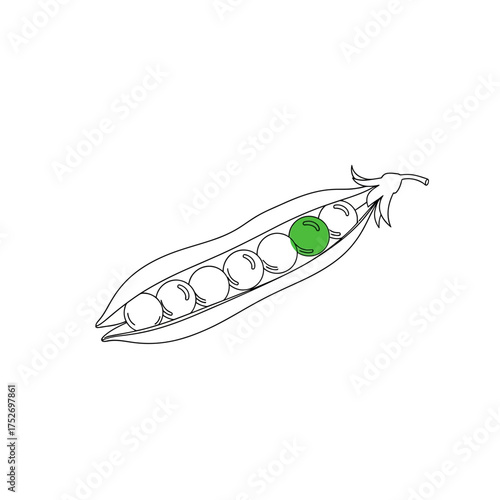 Vector art of an outline drawing of a pea pod with several peas inside, one of which is highlighted in green, isolated on a, representing healthy food and individuality