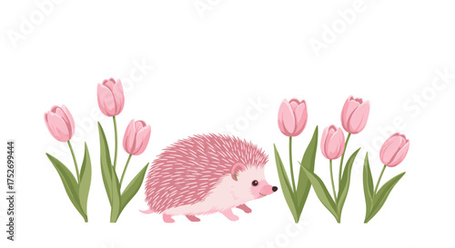A small pink hedgehog walks through blooming pink tulips.