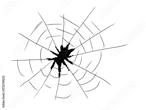Silhouette of spider in web illustration against a white background