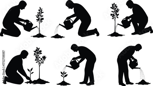 Silhouette person watering plants growth stages, nurturing seedlings to tree, gardening care, environmental sustainability, personal development, nature growth, eco lifestyle, progress concept