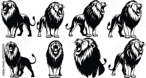 Roaring lion, black and white, graphic illustration, bold style, majestic animal, wild predator, lion head, mane detail, vector art, posture variation