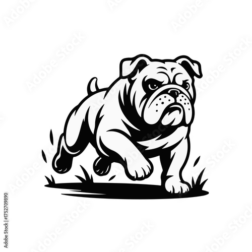 A powerful and determined bulldog illustration in black and white, showcasing its muscular build and fierce expression while in motion