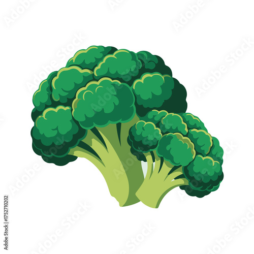 Fresh broccoli illustration a vibrant vector design of a nutritious vegetable, perfect for culinary and health-related projects