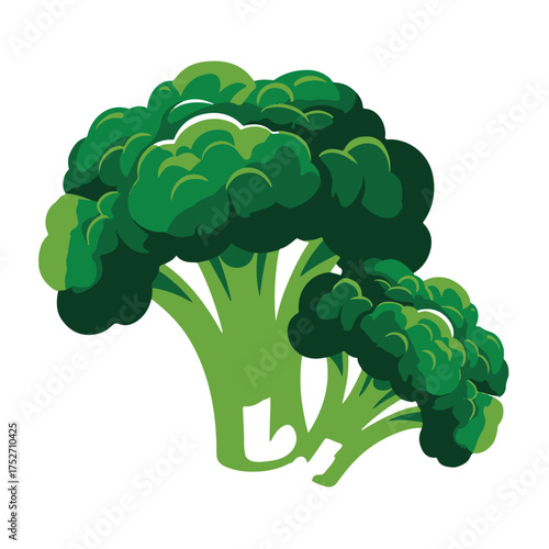Fresh Green Broccoli Florets Illustration - Healthy Vegetable Ingredient for Culinary Delights