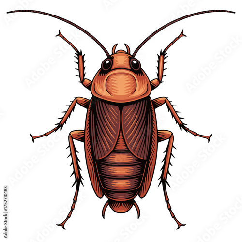 A highly detailed, top-down vector illustration of a common brown cockroach, showcasing its intricate anatomy. Perfect for pest control concepts, entomology studies, and infestation awareness