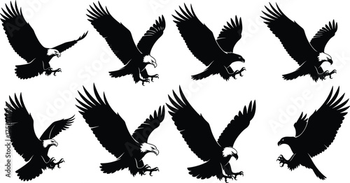 Eagle silhouette, flying eagle, landing eagle, bird of prey, raptor wings, wildlife vector, majestic flight, 