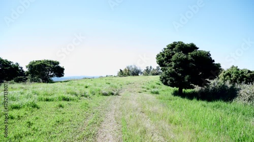 柳ヶ平散策路展望台の自然風景
