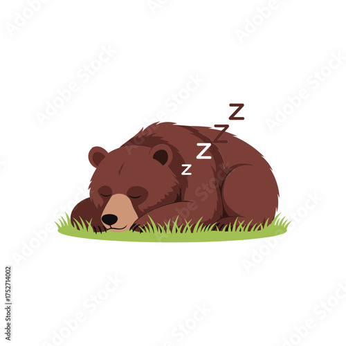 Adorable sleeping brown bear curled up in green grass with zzz sleep bubbles vector