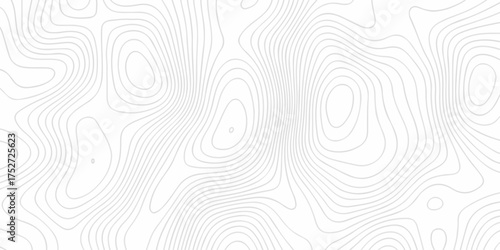 Abstract minimal geography location vector topo map. creative discovery White wave grid stripe line map topography. vector geographic contour mounted map background.	