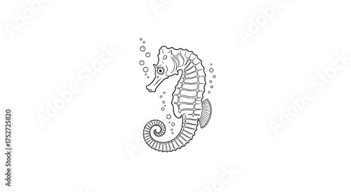 The majestic seahorse swims gracefully in the ocean currents surrounded by bubbles.