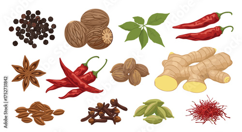 A vibrant collection of aromatic spices and herbs used in cooking and traditional remedies.
