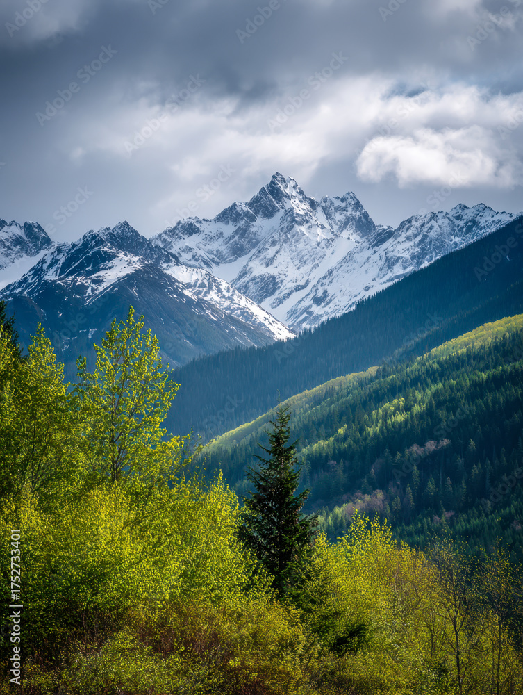 Obraz premium Majestic snow-capped mountain peaks towering over lush green forested hills under a dramatic cloudy sky in a tranquil wilderness setting