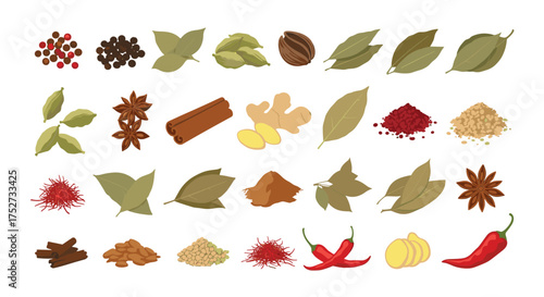 A diverse collection of common herbs and spices used for culinary flavoring and medicinal purposes.