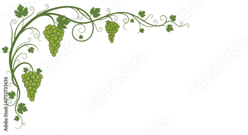 An elegant vine border with green grapes and leaves flourishes in the top left corner.