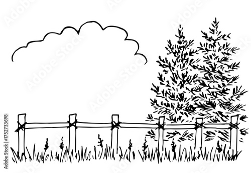 Hand drawn vector illustration with black outline. Nature, summer landscape. Spruce, coniferous trees, fence and grass, cloud. Space for text. Ink sketch.
