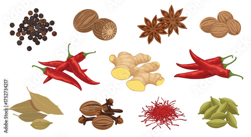 A vibrant assortment of common spices and their culinary applications.