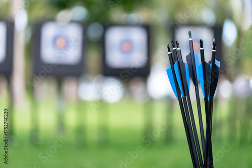 Archery Arrows with Blue Fletching Held Against a Blurred Range Background