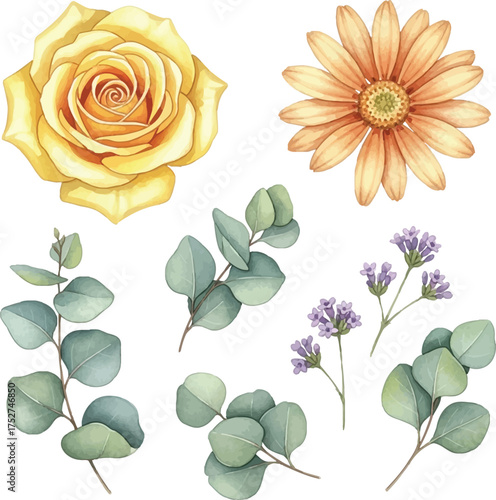 Watercolor Floral Set: Yellow Rose, Gerbera, Lavender, and Eucalyptus Leaves Clipart