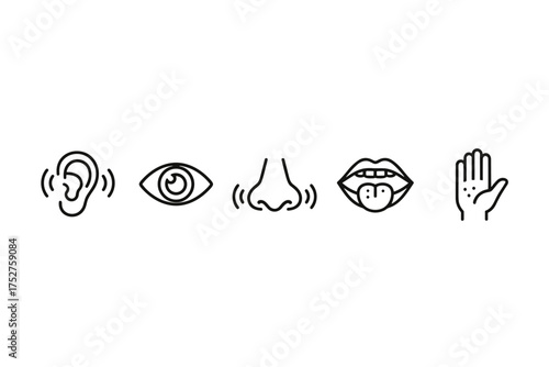 Five senses icon set vector line art. Human sensory perception concepts. Sight, hearing, smell, taste, touch. Eye, ear, nose, mouth with tongue, hand symbols collection.