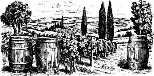 Vineyard landscape featuring barrels and trees. Antique vector illustration with detailed outline of hills and grapevines set in a vintage style.