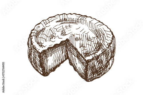 Hand drawn vintage sketch of round cheese wheel with cut slice, detailed dairy food illustration in monochrome style