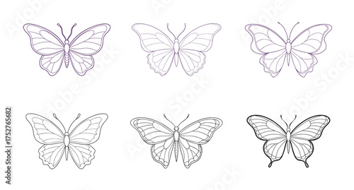 Set of six butterfly illustrations with different wing patterns in black outline