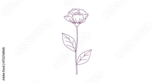 A delicate purple outlined flower with leaves on a white background.