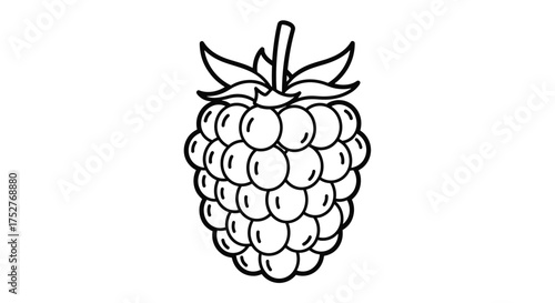 A black and white illustration of a single raspberry with a stem and leaves on top.