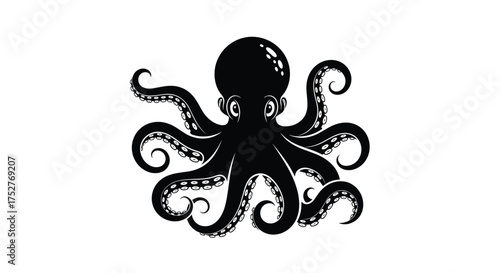 An illustrated deep sea cephalopod with eight arms shown from above.