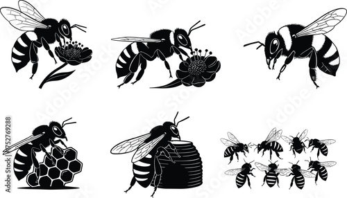 Bees in five poses showing pollination, hive work, and social flight, cartoon insect illustration, nature behavior concept, white background