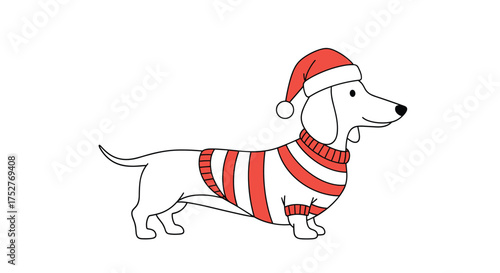 A cute dachshund wearing a festive red sweater and santa hat celebrating christmas.