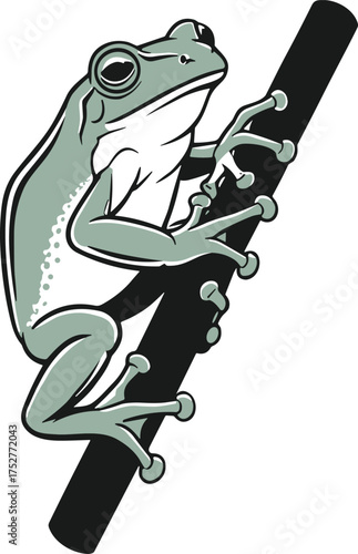 Frog climbing diagonal branch with extended limbs and textured skin, cartoon amphibian illustration, nature anatomy concept, motion pose, white background