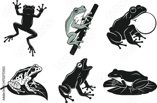 Frogs in six cartoon poses showing climbing, calling, camouflage, and resting behaviors, amphibian anatomy illustration, nature concept, white background