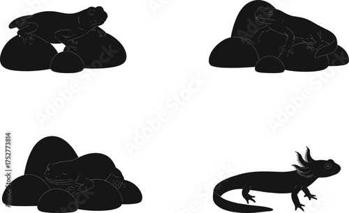 Reptile and amphibian silhouettes on rocks in four poses, cartoon anatomy illustration, nature behavior concept, gilled creature, white background