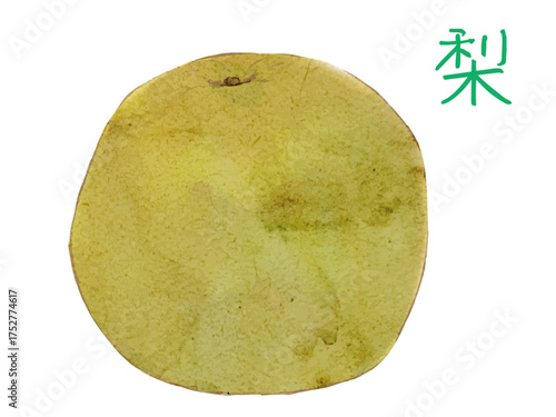 水彩で描いた冬の果物新鮮な梨　食材の水彩ベクターイラスト素材