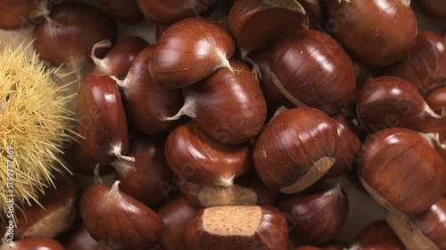 Freshly harvested chestnuts rotating on a table	